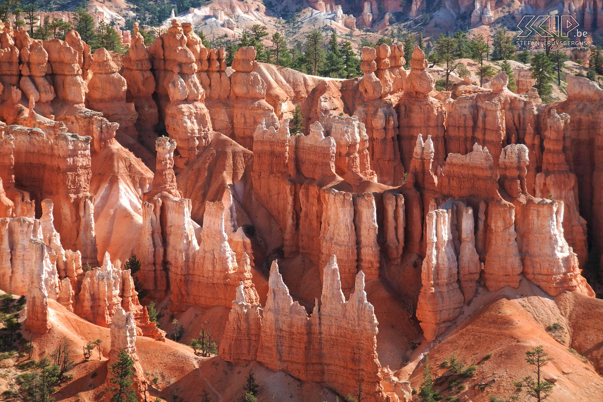 Bryce - Sunset Point Hoodoos in Bryce Canyon are formed by two processes. The first process occurs in winter when water in small cracks in the rock seeps, freezes and expands. The rocks also contain a lot of calcium and it solves a bit by rainwater. Eventually this forms the freestanding pinnacles called hoodoos. Stefan Cruysberghs